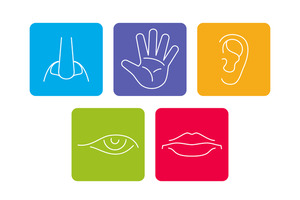 sensory assessment - interaction of the 5 senses - © MicroOne / Adobe Stock