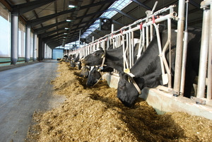 Am Futtertisch des LBZ - © Franziska Paul