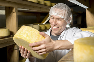 A Milk technologist is controlling a cheese - © Mark Agnor / shutterstock.com